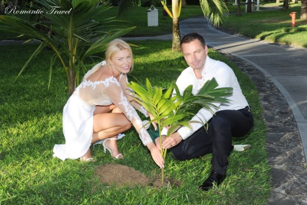 ślub na Mauritiusie drzewko